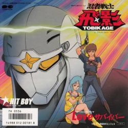 Love Survivor / HIT BOY | 7A-0536 - VGMdb