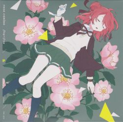 rosa canina flap+frog イワクラコマキ 東方 同人 CD rosa canina | FFRC-0210 - VGMdb