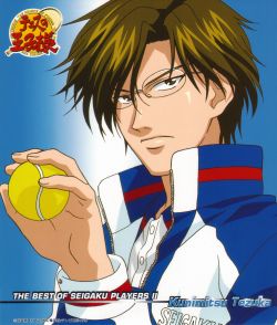 THE PRINCE OF TENNIS THE BEST OF SEIGAKU PLAYERS II