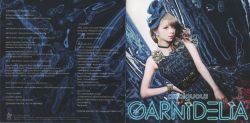 GARNiDELiA　CD Amazon.com: Cnaurda Carbon Fiber Style Car Gear Shift Panel