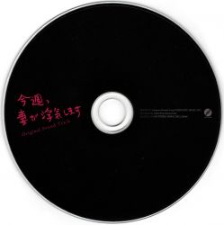【希少】SONG BIRD TSC-1380S 送料込み！ Issho ni Utaou! Ookina Koe de Tonari no Totoro Song