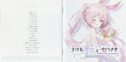 TOKERU FUUKA TO SHIROUSAGI ORIGINAL SOUNDTRACK | SRTM-003 - VGMdb