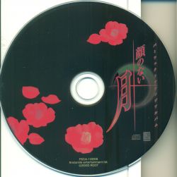 おしえてV感覚 溶けない名前 CD おしえてV感覚 | 溶けない名前 (Tokenainamae) | Gerpfast Record