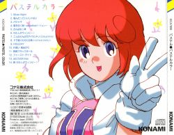 Twinbee PARADISE Pastel Best Songs: Pastel Color | KICA-7899 - VGMdb