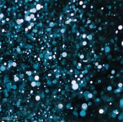 Truman Gummies CBD + Male Enhancement, Advantages, Price In USA Official Website