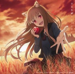 ＲINGO(感謝)/6 Ringo to Kimi / neriame [Limited Edition] | AICL-4608 - VGMdb